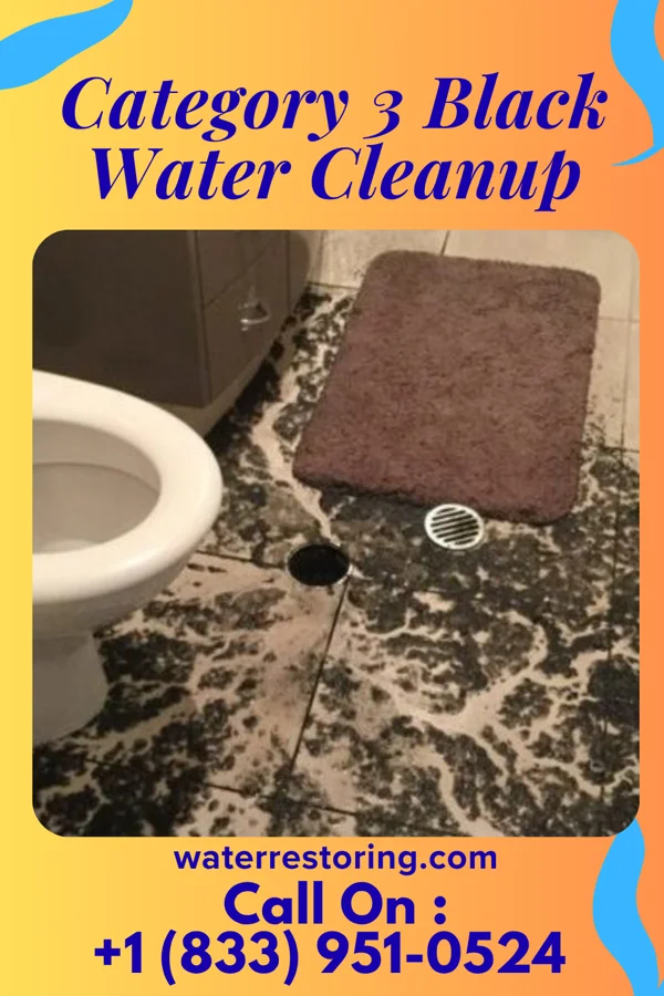 Category 3 Black Water Cleanup in Vanleer, TN