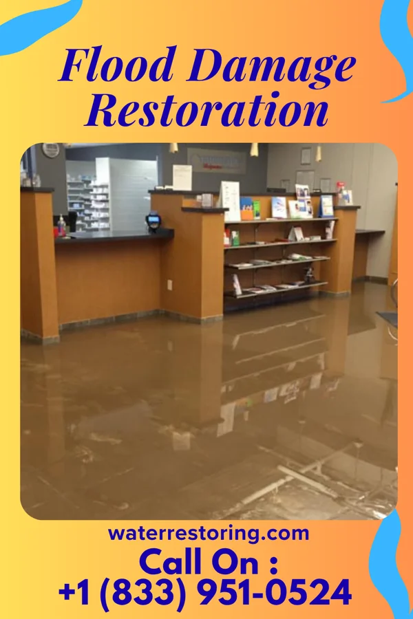 Flood Damage Restoration in Vanleer, TN