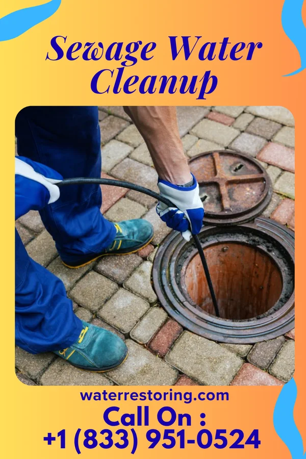 Sewage Water Cleanup in Vanleer, TN
